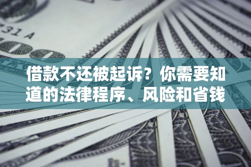 北京借款不还被起诉？你需要知道的法律程序、风险和省钱技巧